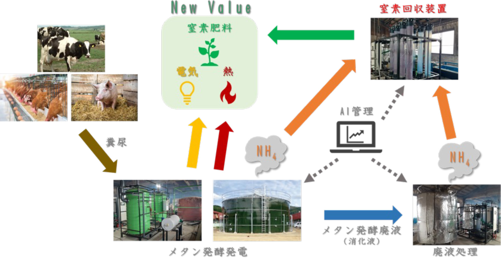 鶏糞メタン発酵発電・</span><span>窒素肥料製造