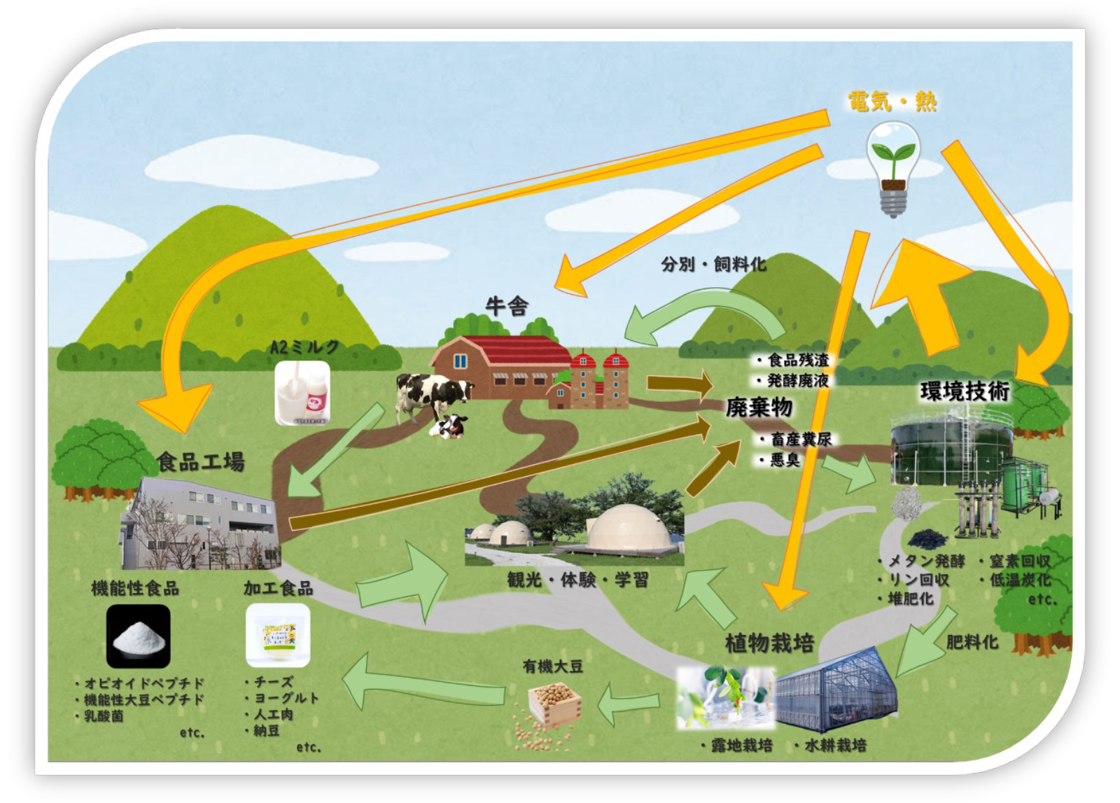 高度インテグレーションモデル